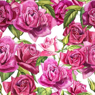 Doğal Pembe gül arka plan. Kırmızı ve pembe gül, suluboya resim seamless modeli.