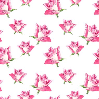 Doğal Pembe gül arka plan. Kırmızı ve pembe gül, suluboya resim seamless modeli.