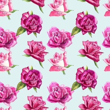 Doğal Pembe gül arka plan. Kırmızı ve pembe gül, suluboya resim seamless modeli.