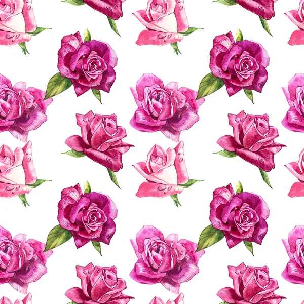 Naturale rosa rose sfondo. Modello senza cuciture di rose rosse e rosa, illustrazione ad acquerello . — Foto Stock