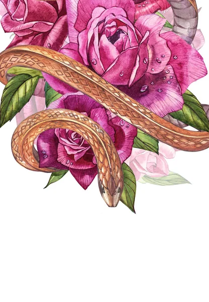 Wąż z piękne róże ogrodowe. Kompozycje czerwony i różowy róż, akwarela, ilustracja. Drukowanie za pomocą t-shirt. — Zdjęcie stockowe
