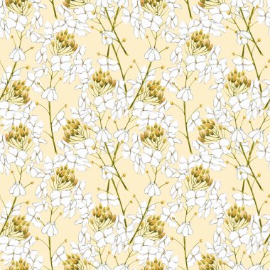 Suluboya horseradish çiçekler. Seamless modeli. Organik, eko bitki botanik Illustration. Gösterim amacıyla gıda tasarım.