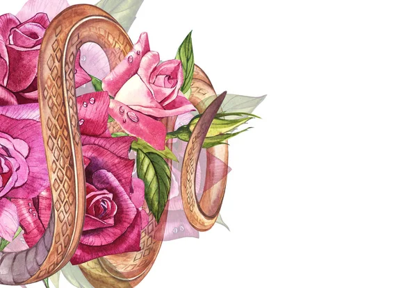 Orm med vacker trädgård rosor. Kompositioner av röda och rosa rosor, akvarell illustration. Utskrift Använd t-shirt. — Stockfoto