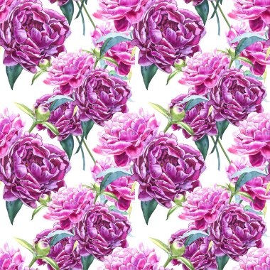 Şakayık çiçekleri ile sorunsuz arka plan. Sulu boya resim. Grafik el çekilmiş çiçek desenli. Tekstil kumaş tasarım.