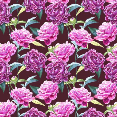 Şakayık çiçekleri ile sorunsuz arka plan. Sulu boya resim. Grafik el çekilmiş çiçek desenli. Tekstil kumaş tasarım.