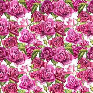 Doğal Pembe gül arka plan. Kırmızı ve pembe gül, suluboya resim seamless modeli.