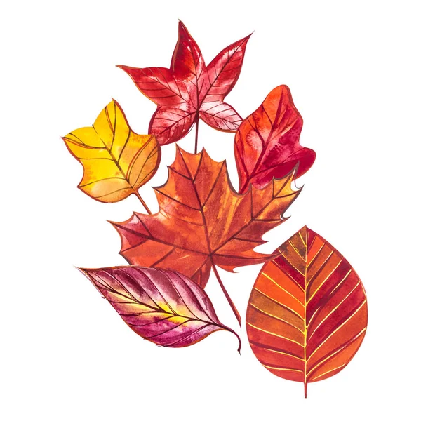 Sfondo acquerello illustrazione con rosso, arancio, marrone e giallo autunno foglie . — Foto Stock