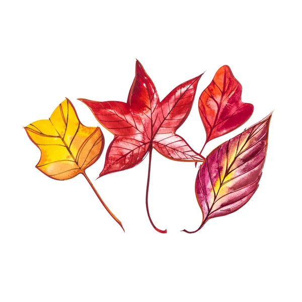 Collectie prachtige kleurrijke herfstbladeren geïsoleerd op een witte achtergrond. Aquarel illustraties. — Stockfoto