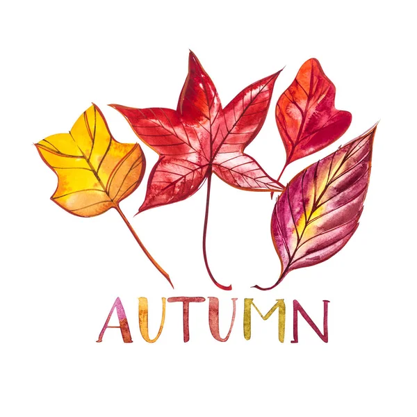 Collection beautiful colorful autumn leaves isolated on white background. Watercolor illustrations. Word - Autumn. — Stock Photo, Image