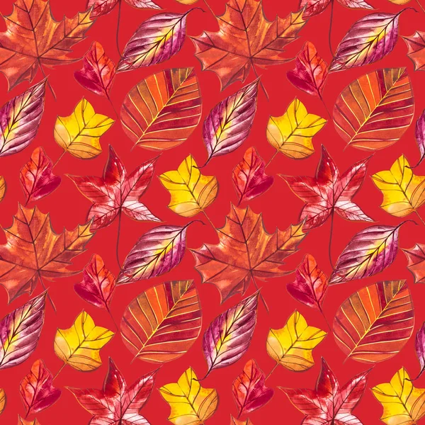 Kırmızı ve turuncu sonbahar yaprakları arka plan. Sulu boya Dikişsiz desen illüstrasyon.