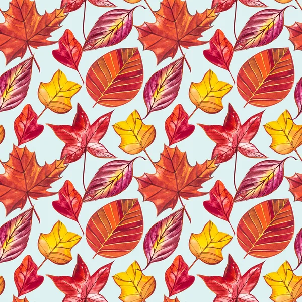 Kırmızı ve turuncu sonbahar yaprakları arka plan. Sulu boya Dikişsiz desen illüstrasyon. — Stok fotoğraf