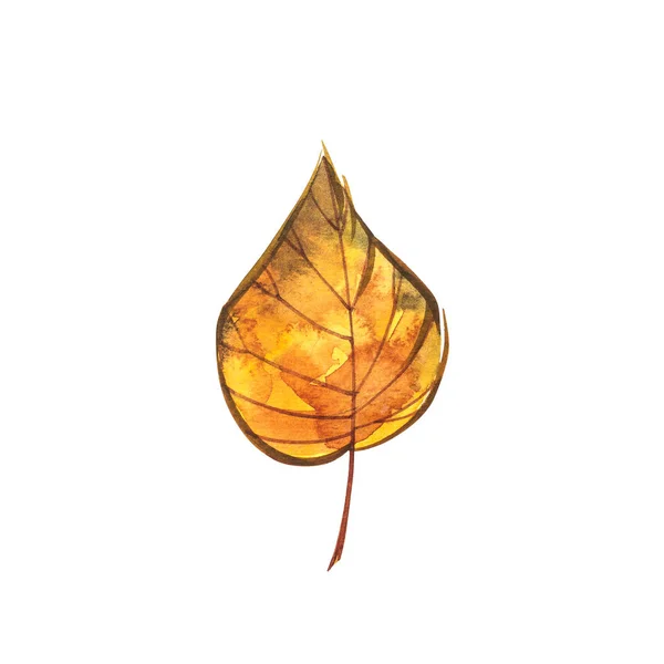 Autumn leaf - Catalpa maple. Autumn maple leaf isolated on a white background. Watercolor illustration. — Stock Photo, Image