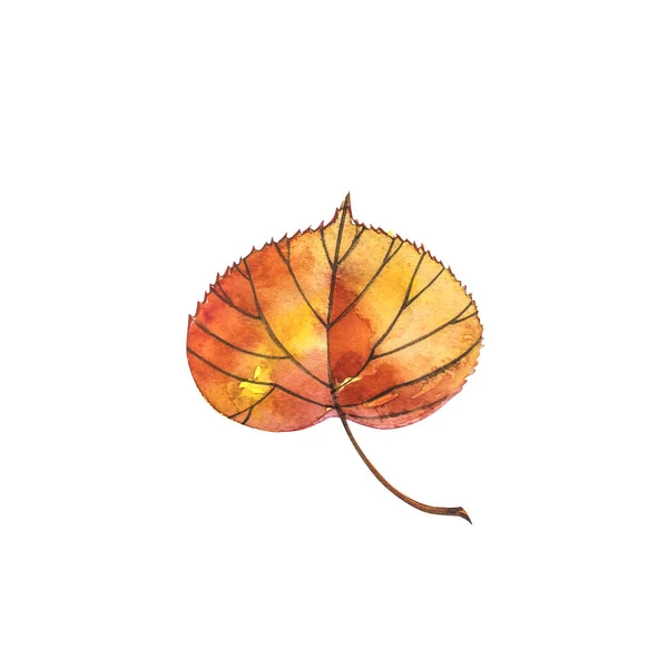 Sonbahar yaprak - Linden. Beyaz bir arka plan üzerinde izole sonbahar akçaağaç yaprağı. Suluboya resim. — Stok fotoğraf