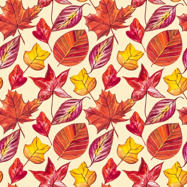 Red and Orange Autumn Leaves Background. Watercolor seamless pattern illustration. — Stock Photo, Image