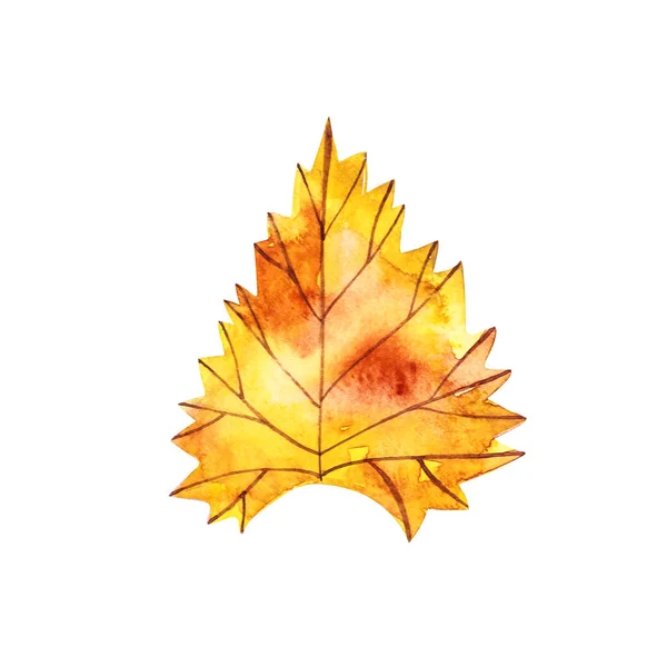 Hoja de otoño - Hojas de corazón. Hoja de arce de otoño aislada sobre un fondo blanco. Ilustración en acuarela . —  Fotos de Stock