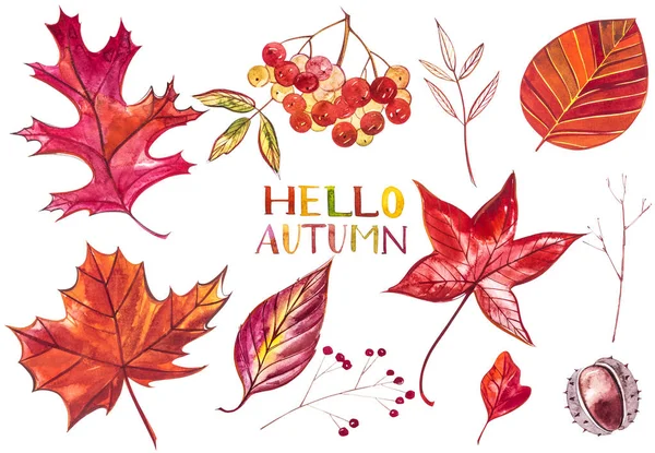 Coleção belas folhas de outono coloridas isoladas no fundo branco. Ilustrações em aquarela . — Fotografia de Stock