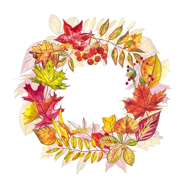 Autumn composition. Wreath made of autumn berries and leaves on white background. Watercolor illustrations. — Stock Photo, Image