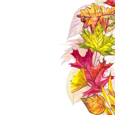 Sonbahar şablon arka plan. Mevsimlik illustrations.web banner template.watercolor illüstrasyon.