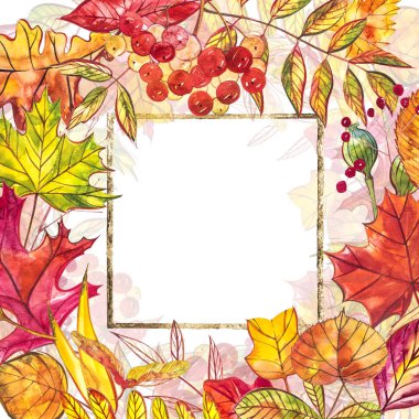 Sonbahar şablon arka plan. Mevsimlik illustrations.web banner template.watercolor illüstrasyon.