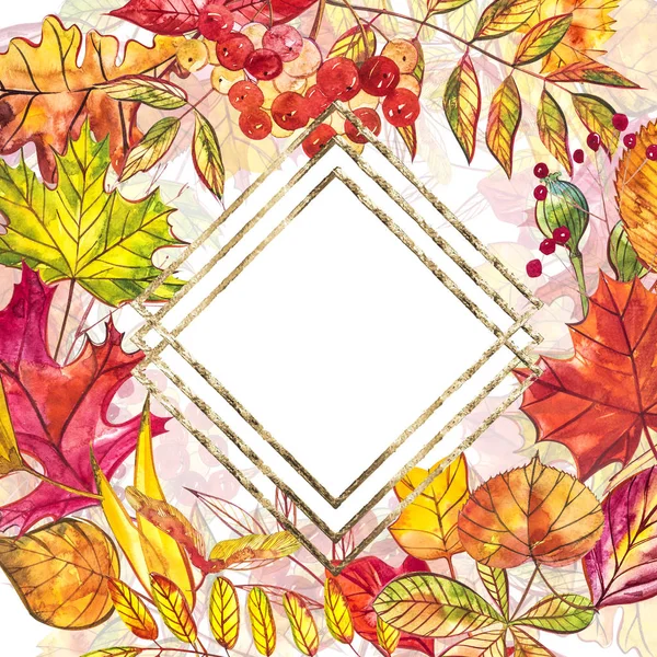 Autumn template background. Seasonal illustrations.web banner template.watercolor illustration. — Stock Photo, Image