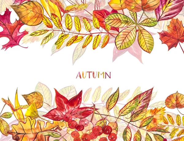 Autumn template background. Seasonal illustrations.web banner template.watercolor illustration. — Stock Photo, Image