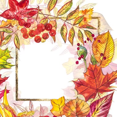 Sonbahar şablon arka plan. Mevsimlik illustrations.web banner template.watercolor illüstrasyon.