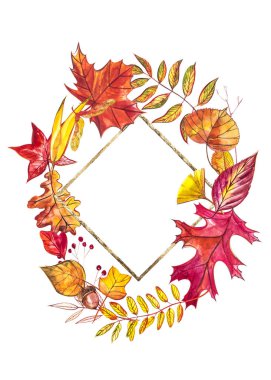 Sonbahar kompozisyon. Sonbahar çilek ve beyaz arka plan yapraklarda çelenk yaptı. Suluboya resimler.