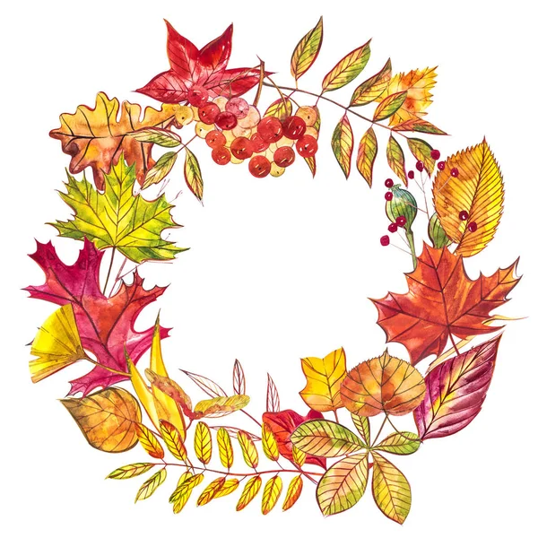 Autumn composition. Wreath made of autumn berries and leaves on white background. Watercolor illustrations. — Stock Photo, Image