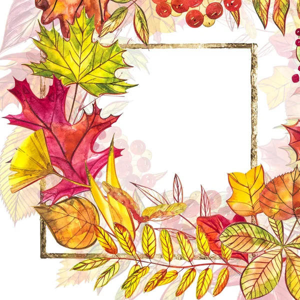 Fundo do modelo de outono. Ilustração sazonal do banner template.watercolor de illustrations.web . — Fotografia de Stock