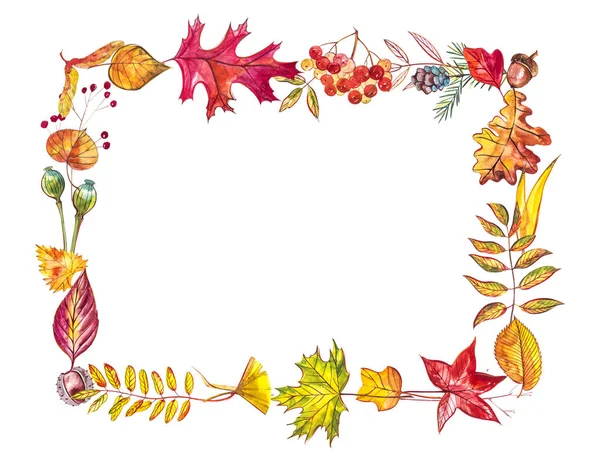 Autumn composition. Frame made of autumn berries and leaves on white background. Watercolor illustrations. — Stock Photo, Image