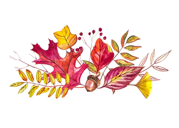 Осенняя композиция. Иллюстрации из осенних ягод и листьев на белом фоне. Акварель . — стоковое фото