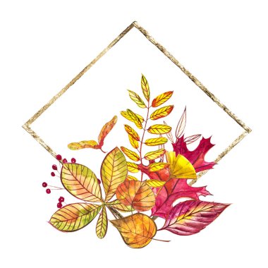 Sonbahar kompozisyon. Sonbahar çilek ve yaprakları beyaz arka plan üzerinde çizimler yaptı. Suluboya resimler.