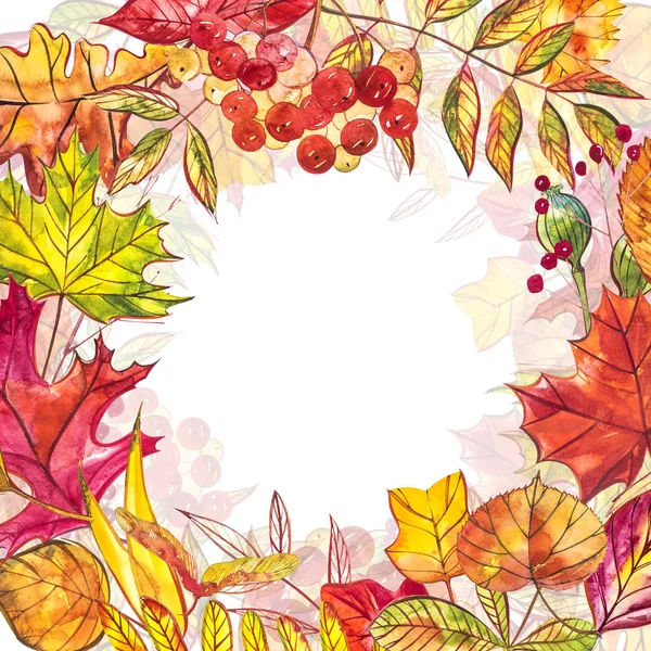 秋天背景与金黄和红色叶子与莓果。水彩插图. — 图库照片