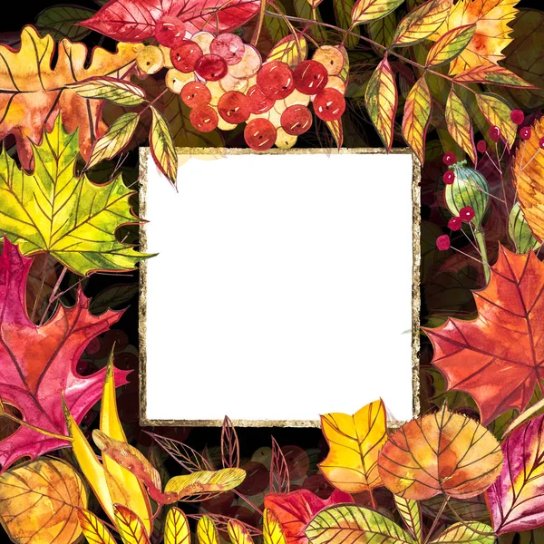 Autumn template background. Seasonal illustrations.web banner template.watercolor illustration.