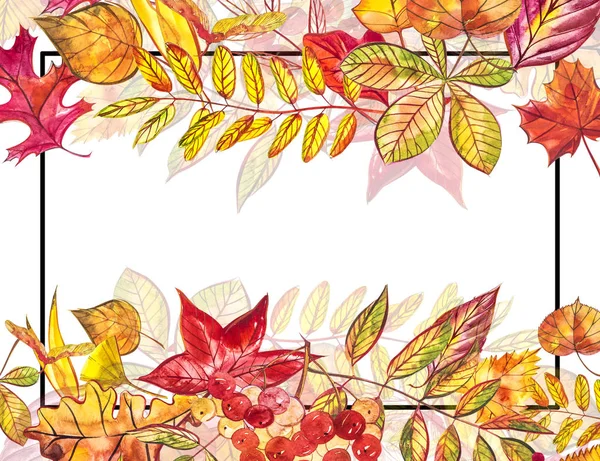 Sonbahar şablon arka plan. Mevsimlik illustrations.web banner template.watercolor illüstrasyon.