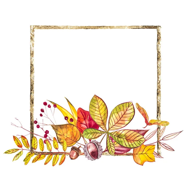 Herbstkomposition. Illustrationen aus Herbstbeeren und Blättern auf weißem Hintergrund. Aquarellillustrationen. — Stockfoto