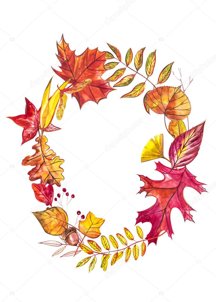 Autumn composition. Wreath made of autumn berries and leaves on white background. Watercolor illustrations.