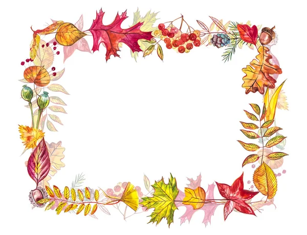 Sonbahar kompozisyon. Sonbahar çilek ve yaprakları beyaz arka plan üzerinde çerçeve yaptı. Suluboya resimler.