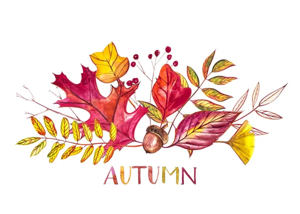秋の組成物。イラストは秋の果実、白い背景の上の葉から成っています。水彩イラスト. — ストック写真