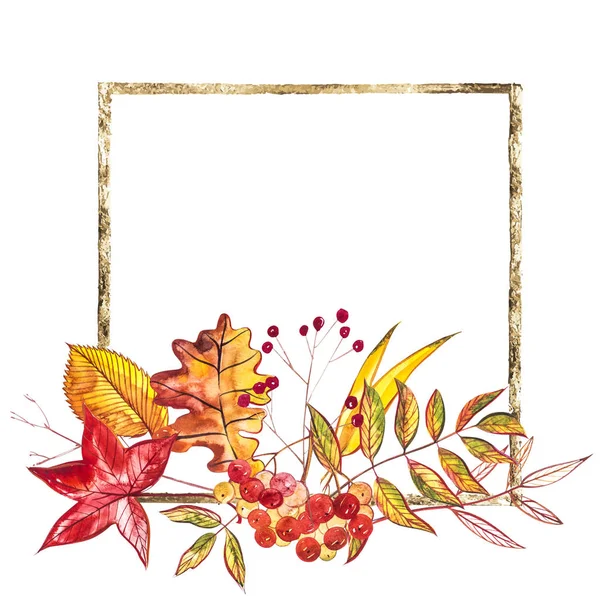 Composição do outono. Ilustrações feitas de bagas de outono e folhas no fundo branco. Ilustrações em aquarela . — Fotografia de Stock