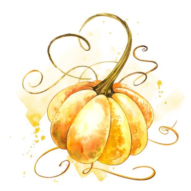 Balkabağı. El Beyaz zemin üzerine suluboya resim çekilmiş. Bir sıçrama ile suluboya resim.