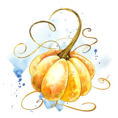 Balkabağı. El Beyaz zemin üzerine suluboya resim çekilmiş. Bir sıçrama ile suluboya resim.