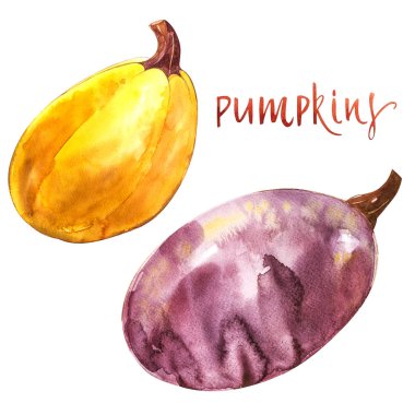 Kabaklar ayarlayın. El Beyaz zemin üzerine suluboya resim çekilmiş. Suluboya resim.