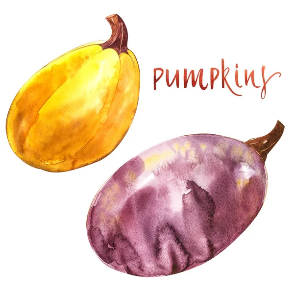 Kabaklar ayarlayın. El Beyaz zemin üzerine suluboya resim çekilmiş. Suluboya resim.