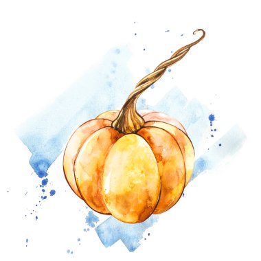 Balkabağı. El Beyaz zemin üzerine suluboya resim çekilmiş. Bir sıçrama ile suluboya resim.