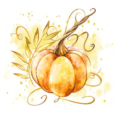 Balkabağı. El Beyaz zemin üzerine suluboya resim çekilmiş. Bir sıçrama ile suluboya resim.