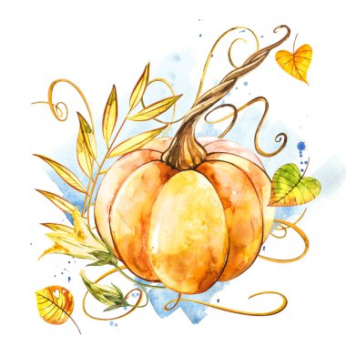 Balkabağı. El Beyaz zemin üzerine suluboya resim çekilmiş. Bir sıçrama ile suluboya resim.