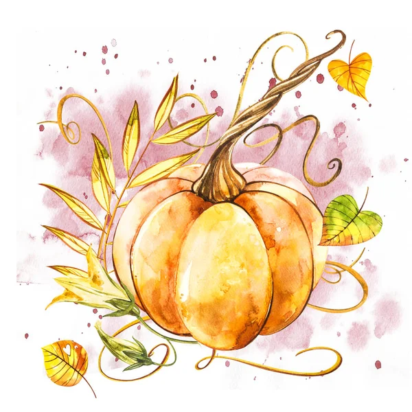 Zucca. Pittura ad acquerello disegnata a mano su sfondo bianco. Illustrazione ad acquerello con una spruzzata . — Foto Stock