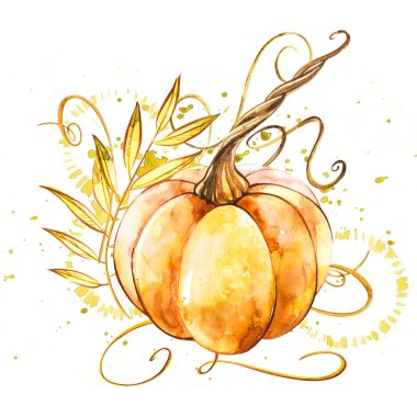 Balkabağı. El Beyaz zemin üzerine suluboya resim çekilmiş. Bir sıçrama ile suluboya resim.