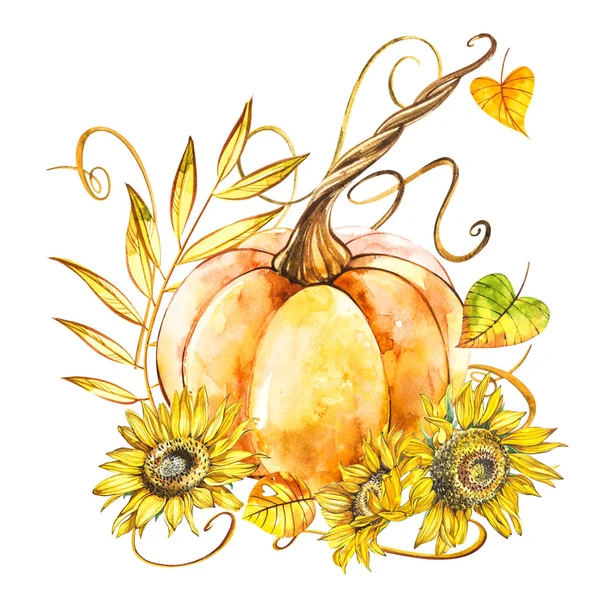 Calabaza con girasoles. Pintura acuarela dibujada a mano sobre fondo blanco. Ilustración en acuarela . —  Fotos de Stock